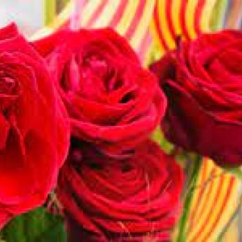 Sant Jordi