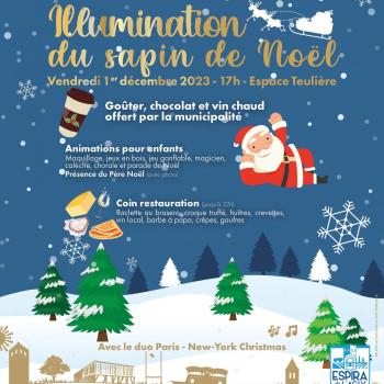 Illuminations de Noël