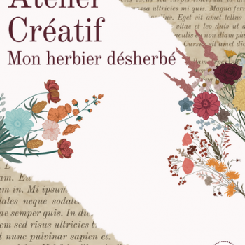 Atelier créatif : mon herbier désherbé… - Bibliothèque de Cabestany