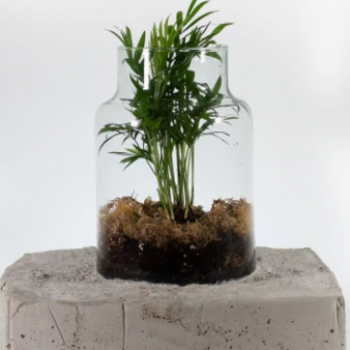 Médiathèque El Mil·lenari de Toulouges- Guide du bon sauvage