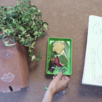 Atelier des mains vertes - Bibliothèque de Cabestany