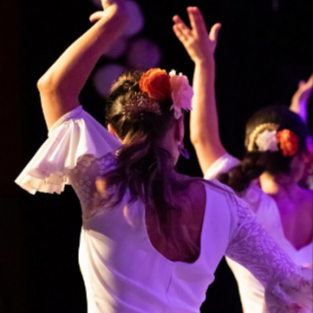 Médiathèque El Mil·lenari de Toulouges -Luces Flamencas 