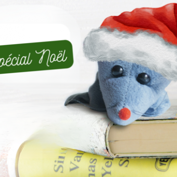Rat conteur spécial ciné-goûter : Noël - Bibliothèque de Cabestany
