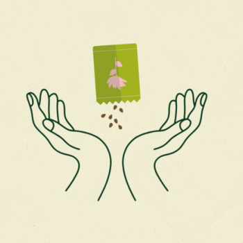 Atelier des mains vertes : " Les trésors de la Nature " - Bibliothèque de Cabestany