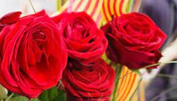 Sant Jordi