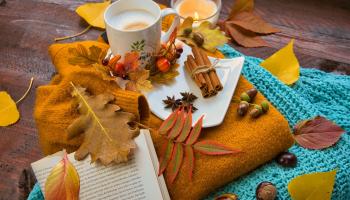 Animations de Novembre