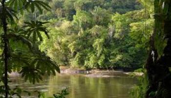 Conférence sur la Guyane