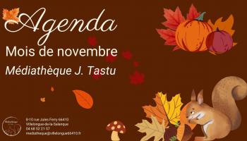 PROGRAMMATION DU MOIS DE NOVEMBRE