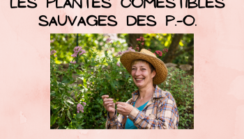 Conférence Les plantes comestibles sauvages des P.O.