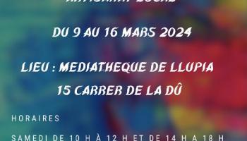 Exposition de peintures et artisanat local