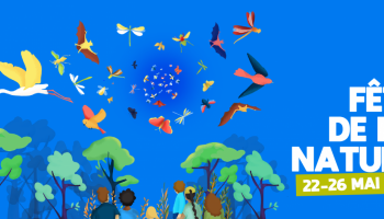 Animations de mai 2024