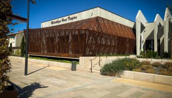 Newsletter - Novembre 2024