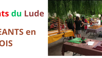 Les enfants du lude