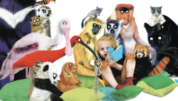 Animations d'été à la bibliothèque de Cabestany