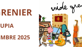 Vide Grenier à Llupia