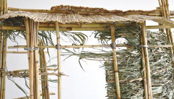 Rencontre littéraire et dédicace "Le chêne tombe, le roseau plie. Et la canne ?" 