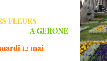 TEMPS DES FLEURS GERONE
