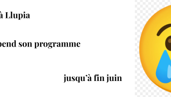 MISE EN VEILLE DES ACTIVITES JUSQU'A FIN JUIN 