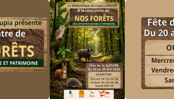 Exposition A la rencontre de Nos forêts