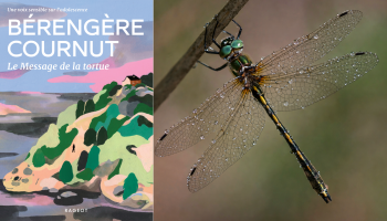 Animations de septembre et octobre à la bibliothèque de Cabestany