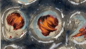 Nouvelles de septembre : ouverture de la Médiathèque Salvador Dalí