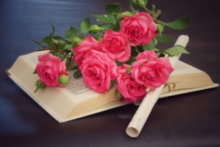  Bibliothèque de Saleilles : fête la Sant Jordi