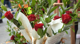 Fête de la Sant Jordi à la bibliothèque de Saleilles