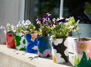 Des plantes à la médiathèque - Bibliothèque de Cabestany