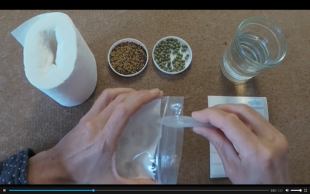 Atelier des Mains vertes - Bibliothèque de Cabestany