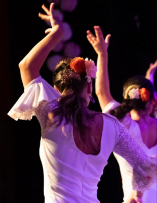 Médiathèque El Mil·lenari de Toulouges -Luces Flamencas 