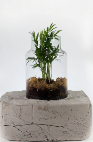 Médiathèque El Mil·lenari de Toulouges- Guide du bon sauvage