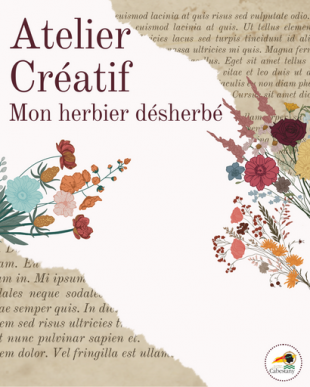 Atelier créatif : mon herbier désherbé… - Bibliothèque de Cabestany