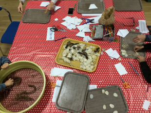 Atelier des mains vertes - Bibliothèque de Cabestany
