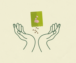 Atelier des mains vertes : " Les trésors de la Nature " - Bibliothèque de Cabestany